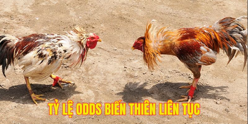 Những con số trả thưởng cao ngất ngưởng
