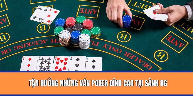 Tận hưởng những ván Poker đỉnh cao tại sảnh DG